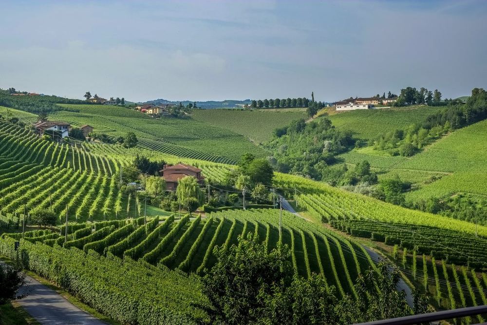 Farm Table Italy